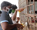 Excise duty hike will make Karnataka most expensive state for spirits in India: ISWAI